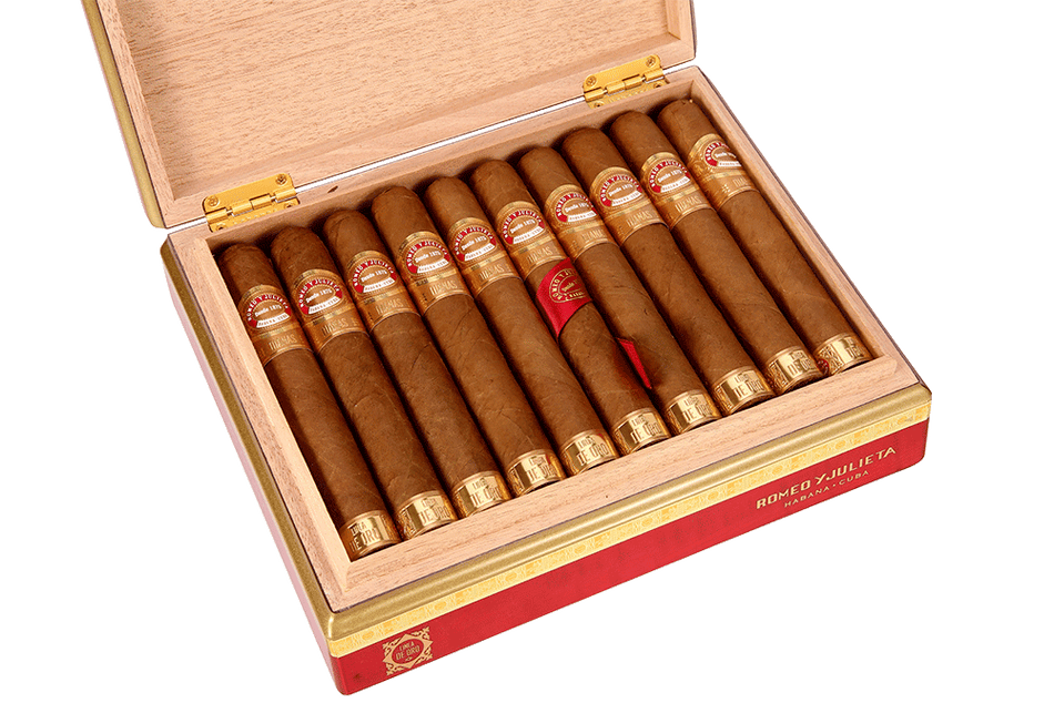 金線系列 目標 Linea Oro Dianas(20)